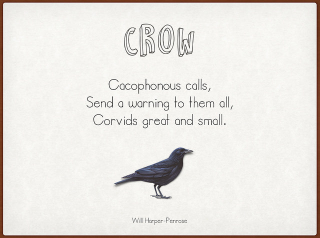 27076103655_715797bd3e_z