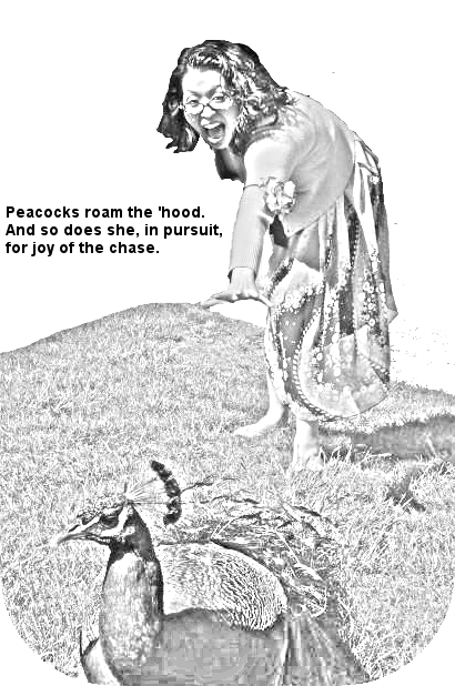 policeblotterhaiku.com3