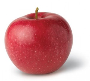 red-rome-apple-300x270