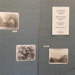 Art display may 2015 #1