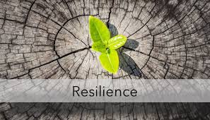 resilience2