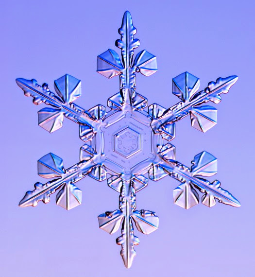 Snowflake 5 Canuck Place School Room