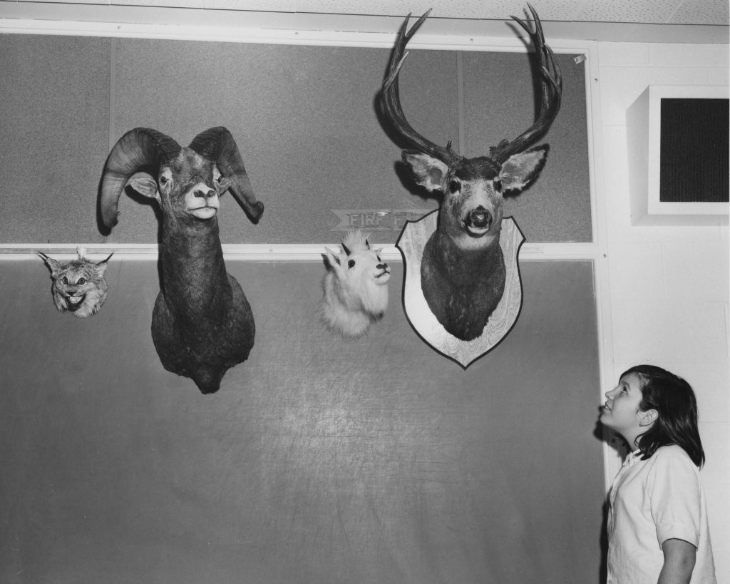 Dr. M. Weir VSB Archives & Heritage