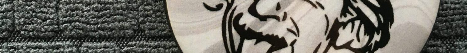 Vancouver District Science Fair